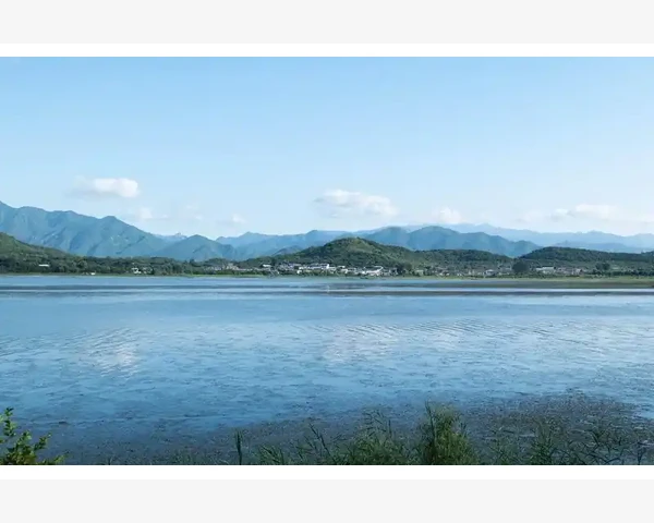 秋季孩子养脾胃必备食物推荐